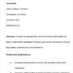 Resume Templates First Job