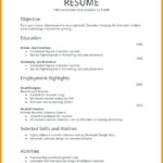 Resume Templates First Job