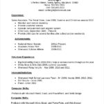 Resume Templates First Job Student