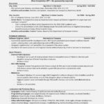 Resume Templates Google Docs Reddit