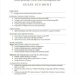 Resume Templates High School