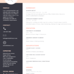 Resume Templates Ideas