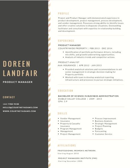 Resume Templates Ideas