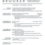 Resume Templates Ideas