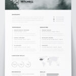 Resume Templates Illustrator