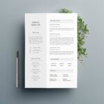 Resume Templates Indesign