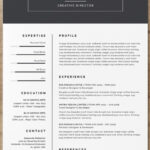 Resume Templates Indesign