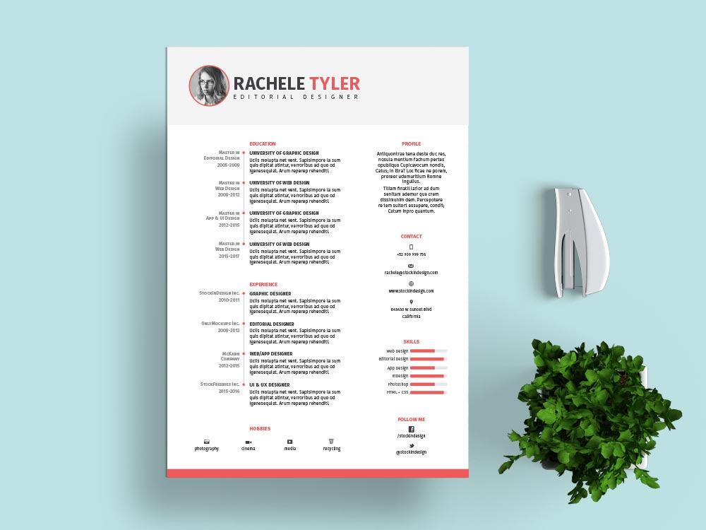 Resume Templates Indesign Free