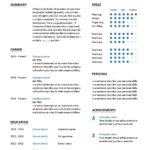 Resume Templates Project Manager