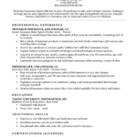 Resume Templates Sales