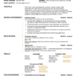 Resume Templates Science