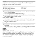 Resume Templates Social Work