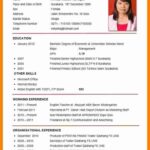 Resume Templates for Job Application