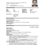 Resume Templates for Job Application