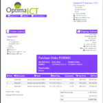 A Professional Report Template