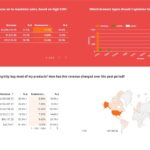 E Commerce Report Template