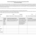 Report Assessment Template