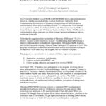 Report Template Executive Summary