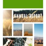 Report Template Free Download