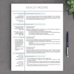 Resume Templates Mac