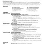 Resume Templates Marketing