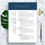 Resume Templates Modern