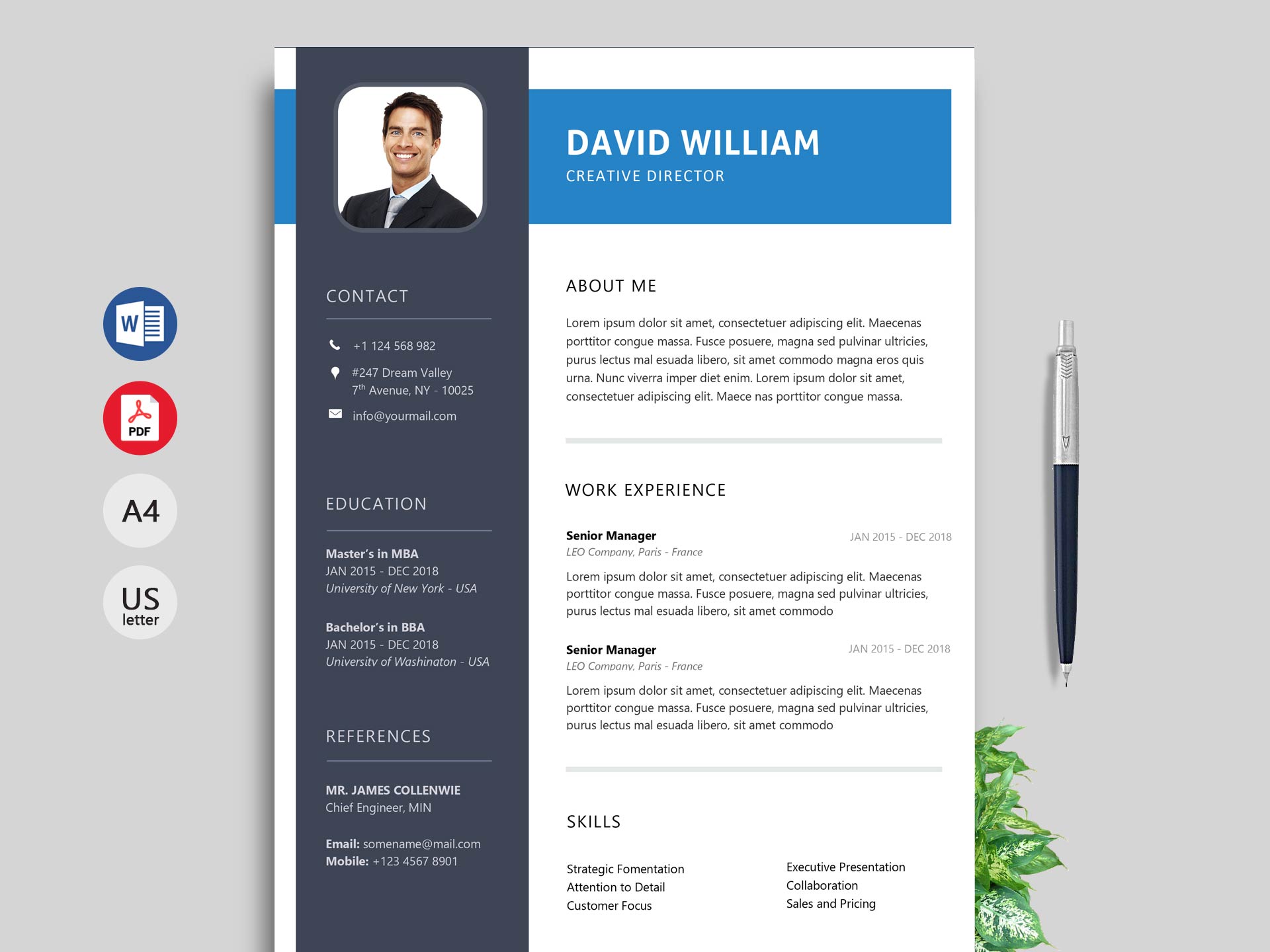 Resume Templates Modern