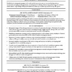 Resume Templates Monster