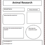 Animal Report Template 5th Grade