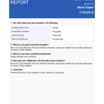 Report Review Template