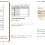 Report Template Primary School