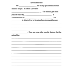 Animal Report Template 3rd Grade Pdf