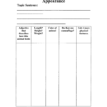 Animal Report Template 3rd Grade Pdf