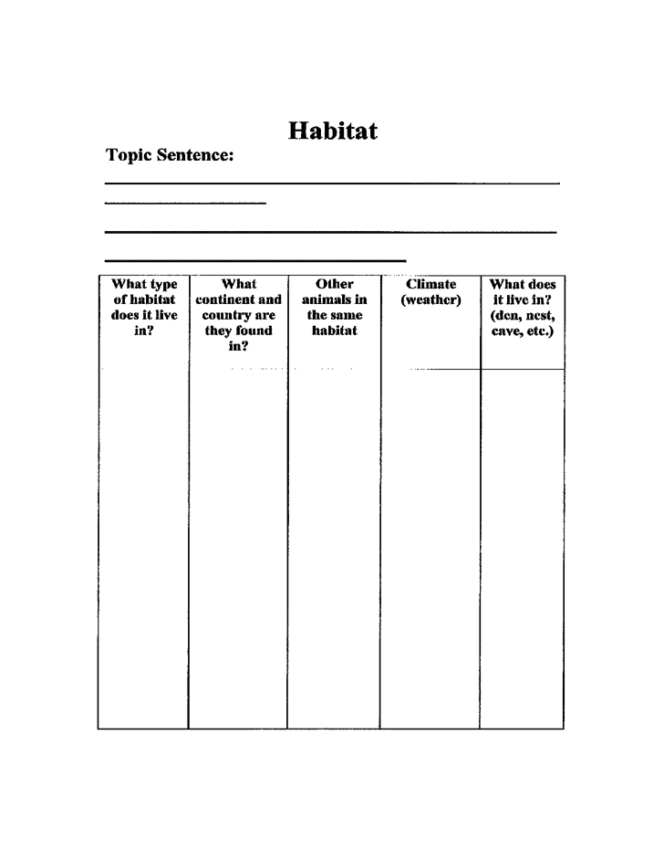 Animal Report Template 3rd Grade Pdf