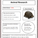 Animal Report Template 4th Grade
