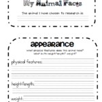 Animal Report Template 4th Grade