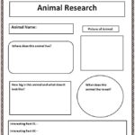Research Report Template 4th Grade