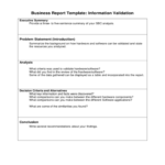 Report Guidelines Template