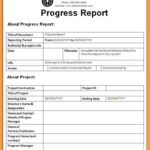 Report Guidelines Template