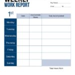 Report Guidelines Template