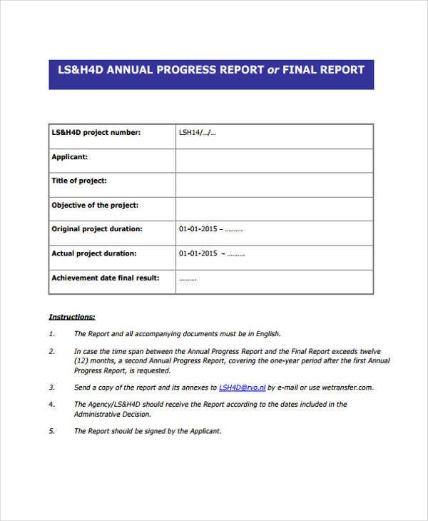 Report Guidelines Template