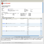 Scan Report Template Qualys
