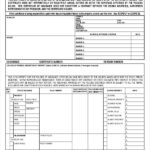 Insurance Template Pdf