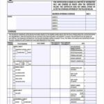 Insurance Template Pdf